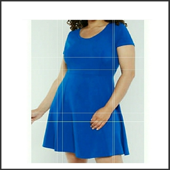 Dresses & Skirts - Plus size skater dress